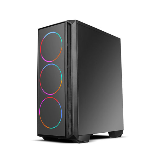 Case vsp v3 607 2 (1)